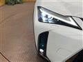 2021 Lexus Other