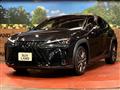 2025 Lexus Other