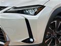 2025 Lexus Other