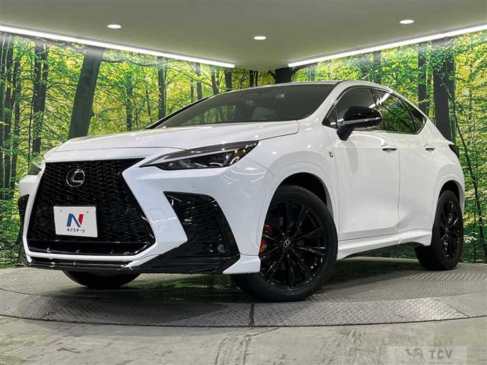 2021 Lexus NX