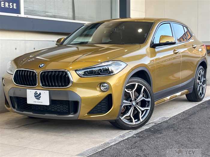 2019 BMW X2