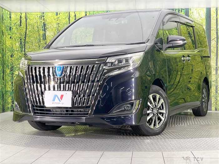 2020 Toyota Esquire