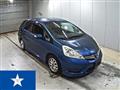 2011 Honda Fit shuttle