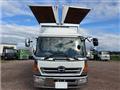 2010 Hino Hino Others