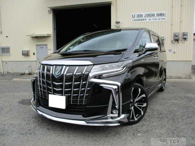 2019 Toyota Alphard G