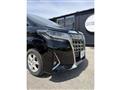 2019 Toyota Alphard G