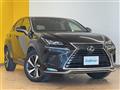 2020 Lexus NX