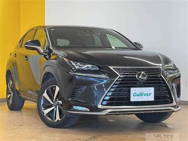 2020 Lexus NX