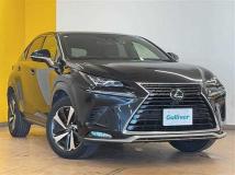 2020 Lexus NX