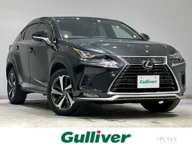 2020 Lexus NX