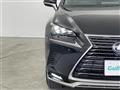 2020 Lexus NX