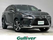 2020 Lexus NX