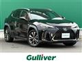 2020 Lexus UX