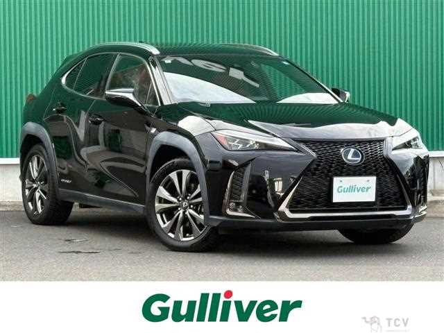 2020 Lexus UX