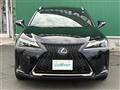 2020 Lexus UX