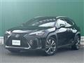 2020 Lexus UX