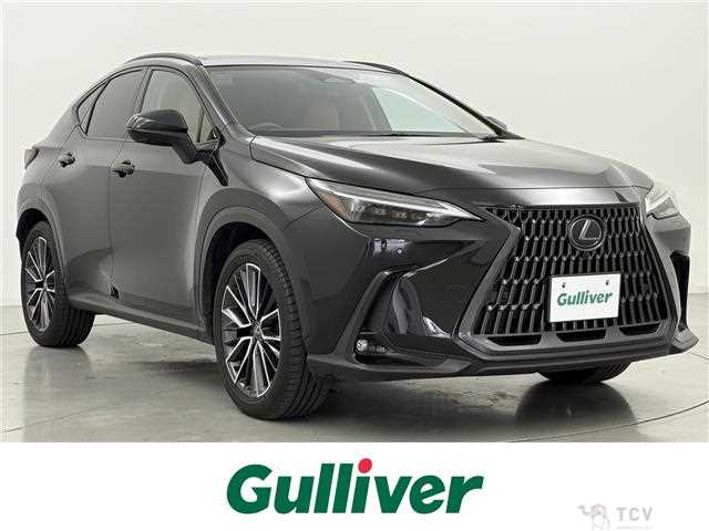 2023 Lexus NX