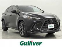 2023 Lexus NX