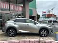 2017 Lexus NX