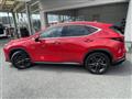 2022 Lexus NX