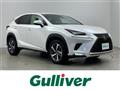 2019 Lexus NX