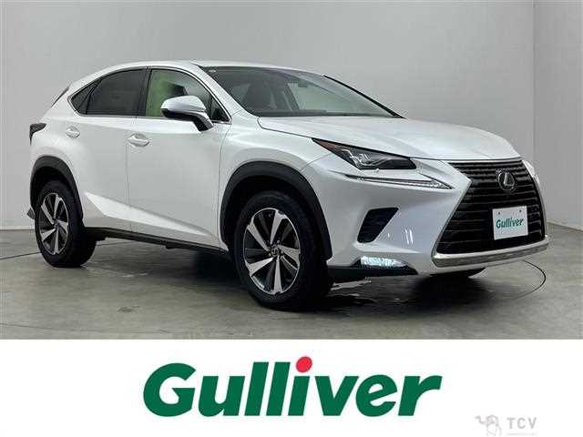 2019 Lexus NX