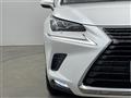 2019 Lexus NX