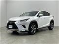 2019 Lexus NX