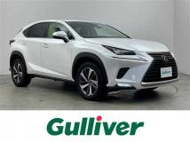 2019 Lexus NX