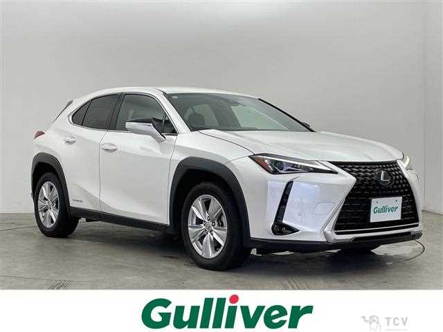 2020 Lexus UX