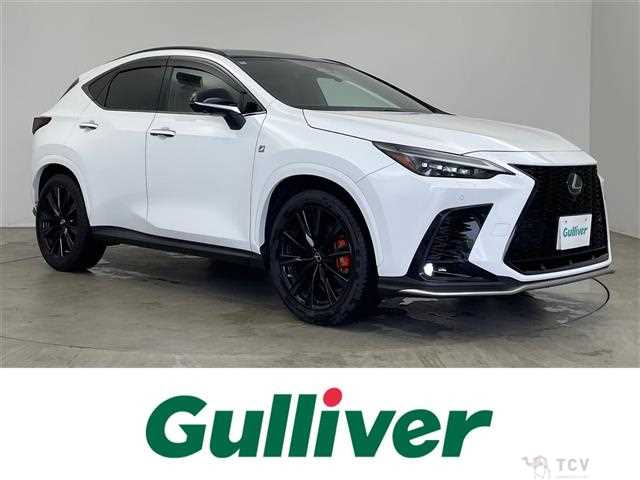 2022 Lexus NX