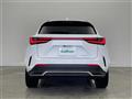 2022 Lexus NX