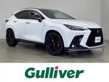 2022 Lexus NX