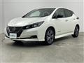 2021 Nissan Leaf