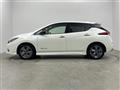 2021 Nissan Leaf