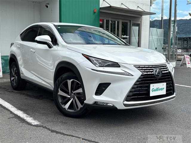 2018 Lexus NX