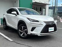 2018 Lexus NX