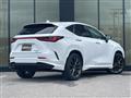 2021 Lexus NX