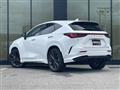 2021 Lexus NX