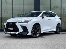 2021 Lexus NX