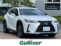 2020 Lexus UX