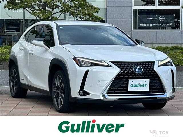 2020 Lexus UX