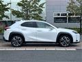 2020 Lexus UX