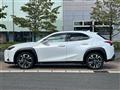 2020 Lexus UX