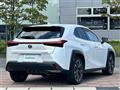 2020 Lexus UX