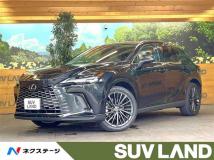 2024 Lexus RX