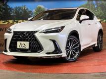 2023 Lexus NX