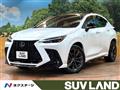2025 Lexus NX