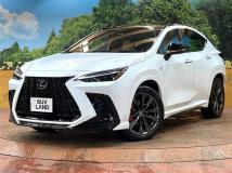 2025 Lexus NX