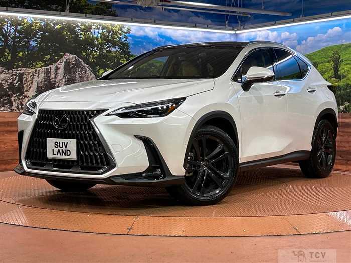 2023 Lexus NX